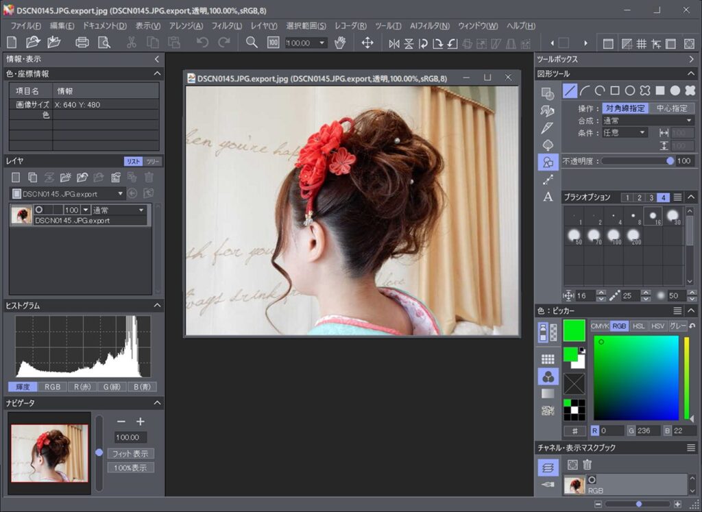 Paintgraphic 5 Pro AI起動